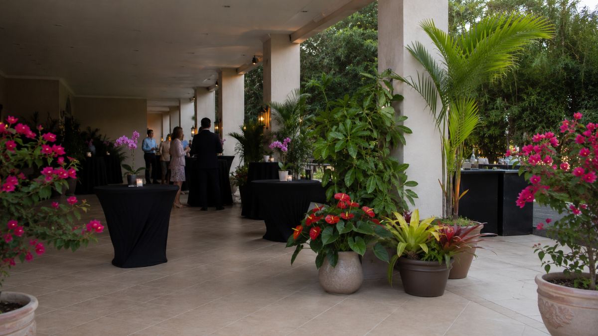 Cóctel en terraza con palmas, orquídeas y buganvillas